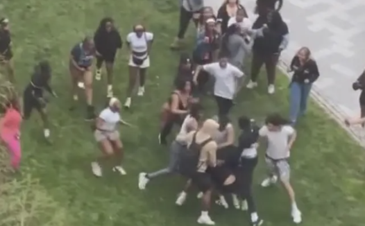 学生被抢、孩子被打、假枪上街!300青少年混混占领天普校园!天普大学复活节周末连环暴力事件全曝光!